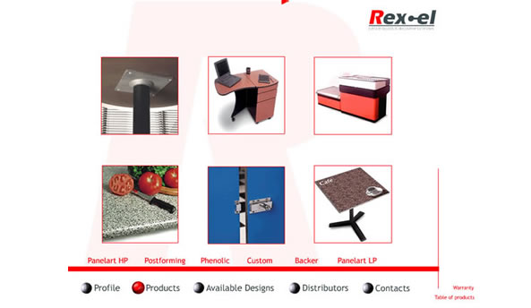 Rexcel web design